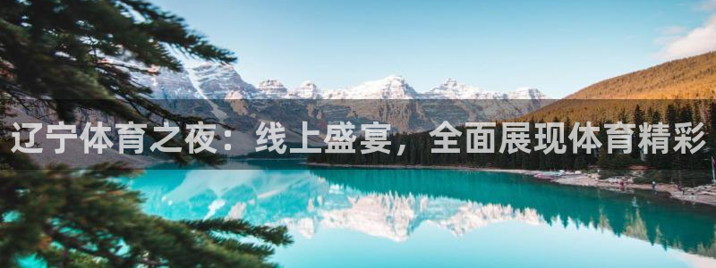 辽宁体育之夜：线上盛宴，全面展现体育精彩