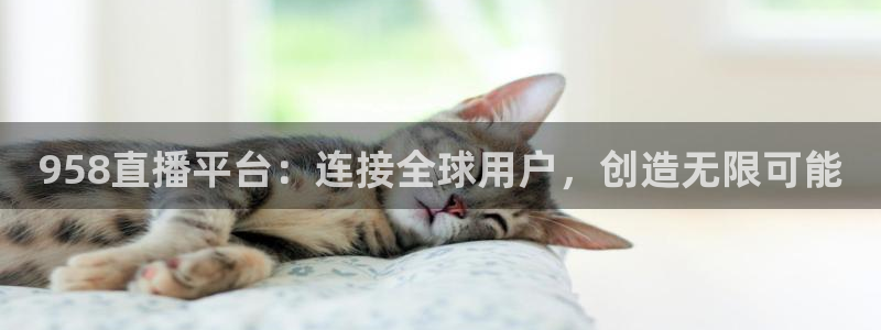 958直播平台：连接全球用户，创造无限可能