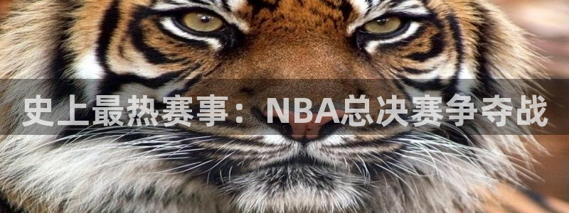 史上最热赛事：NBA总决赛争夺战