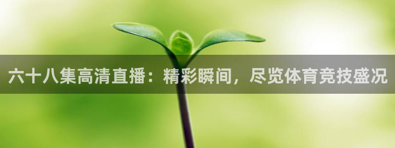 六十八集高清直播：精彩瞬间，尽览体育竞技盛况