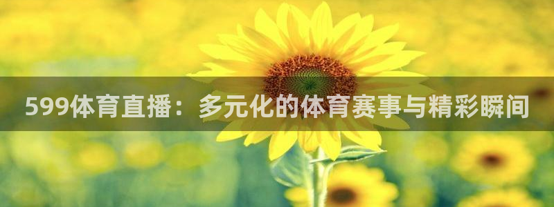 599体育直播：多元化的体育赛事与精彩瞬间