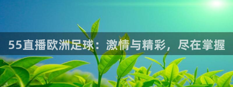 55直播欧洲足球：激情与精彩，尽在掌握