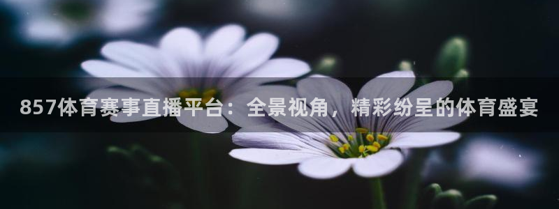 857体育赛事直播平台：全景视角，精彩纷呈的体育盛宴