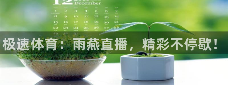 极速体育：雨燕直播，精彩不停歇！